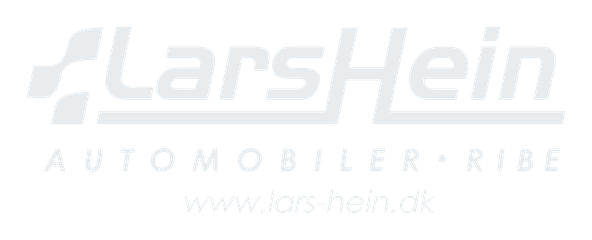 Lars Hein